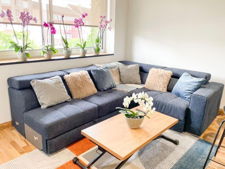 Appartement Cote Jardin - Centre Alençon Esterno foto